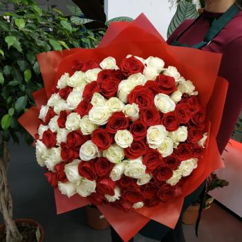 Букет из 101 розы (красные и белые розы) артикул: 71778