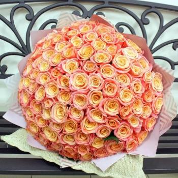 Букет Оранжевые розы Эквадор 101 шт (50 см) №   125412