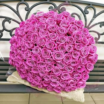 Розовые розы Эквадор 101 шт (50 см) (articul  125328)